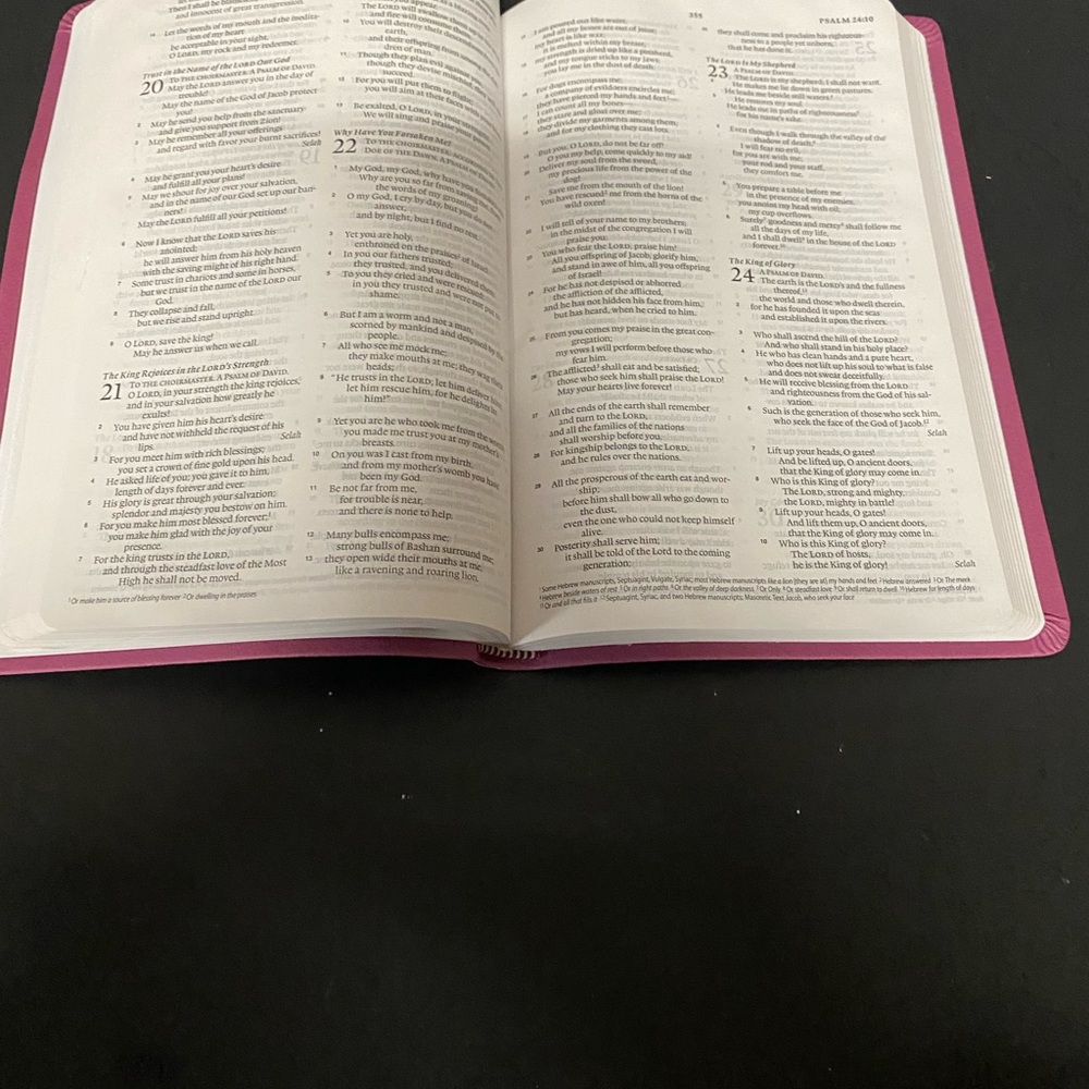 Pink Leather Standard Bible 2001